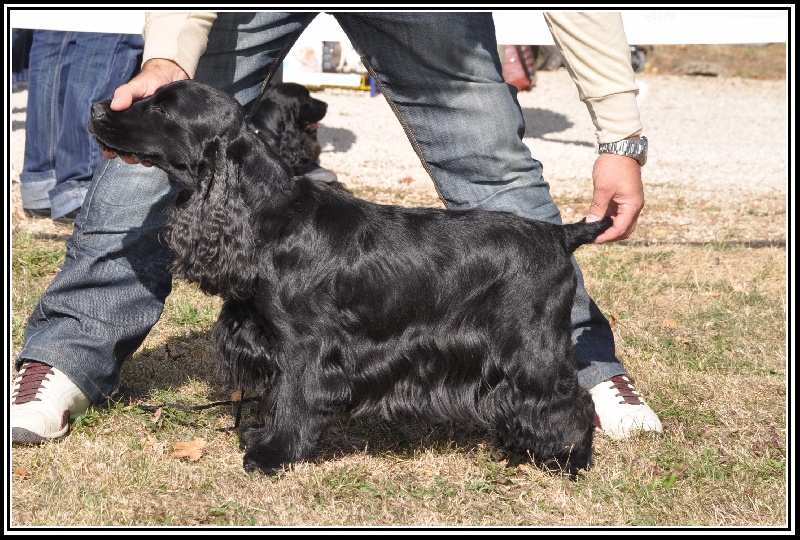 Cachou du domaine des matalis