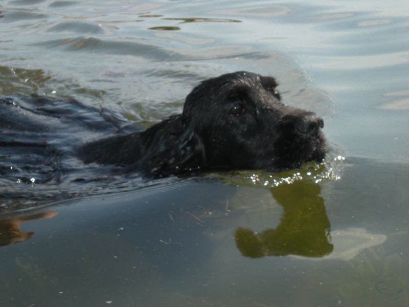 Cachou du domaine des matalis