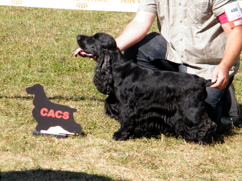 Cachou du domaine des matalis